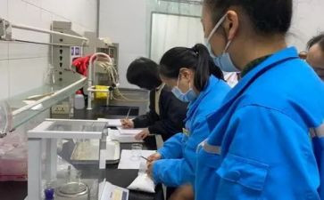 分析工的述职报告8篇