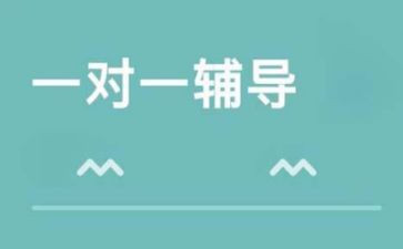 带小学辅导班工作总结6篇