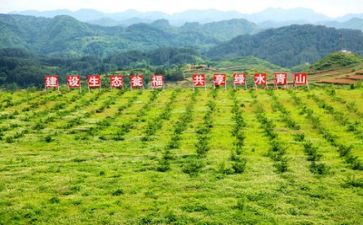 抓扶贫工作总结优秀7篇