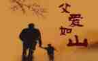 感恩父亲的作文800字作文5篇