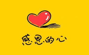 教师感恩会演讲稿6篇
