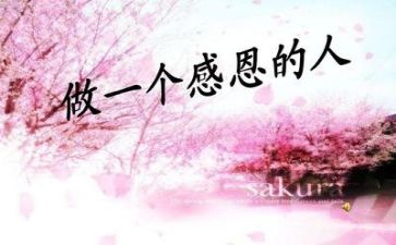 演讲稿感恩父母400字5篇