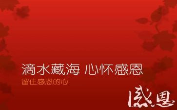 感恩与心态演讲稿5篇