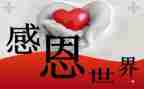老师感恩的演讲稿7篇