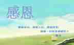 感恩特色活动方案5篇