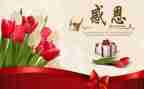 以“感恩”为主题的演讲稿8篇