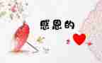 最感激的人作文优秀6篇