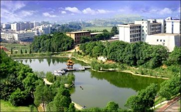 年高校教师工作计划6篇