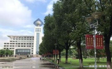 高校月工作总结8篇