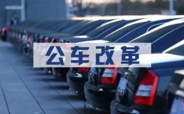 新公务员周工作总结最新8篇
