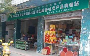供销社工作报告5篇