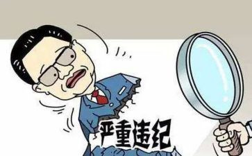 公职律师年度总结6篇