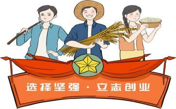 致富带头主要事迹6篇