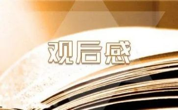电影熊的故事观后感7篇