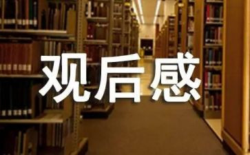 袁?老师观后感精选5篇