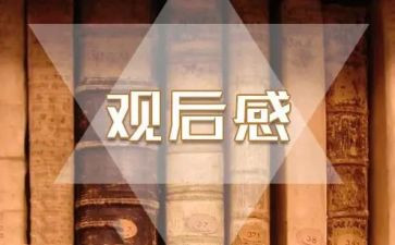 袁?老师观后感模板5篇