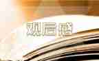 电影八佰观后感模板7篇