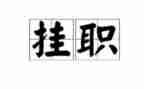 2024年挂职工作总结范文8篇