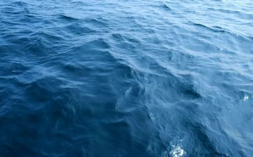 海居租房合同通用8篇