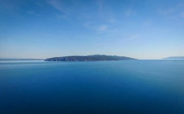 海淘问卷调查报告6篇