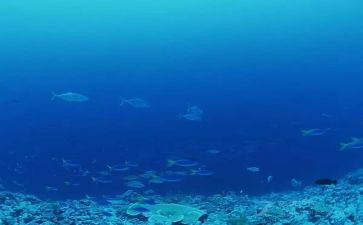 海底捞店长日记读后感6篇