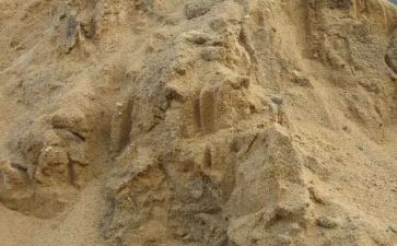 海砂排查工作报告6篇