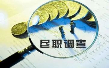 海问尽职调查报告8篇