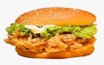 汉堡店5.1活动方案7篇