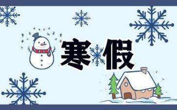 寒假实践的调查报告8篇