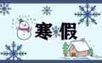 寒假实践的调查报告8篇