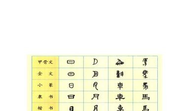 史说汉字观后感7篇