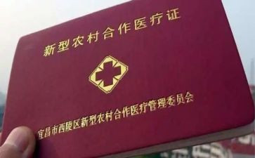 新合疗工作总结报告最新7篇