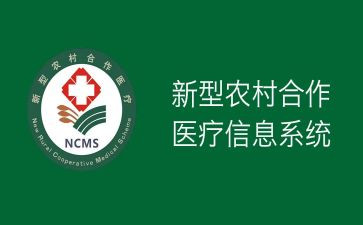 新合疗工作总结报告5篇