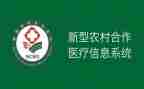 新合疗工作总结报告5篇