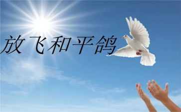 和平的心得体会7篇