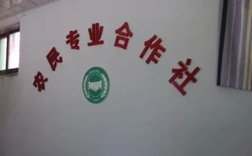 入合作社社申请书7篇