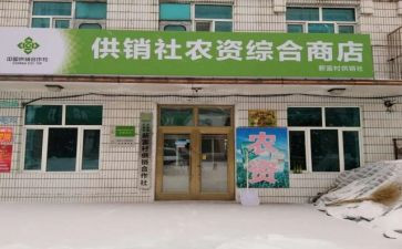 合作社的合同5篇