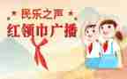红领巾评选活动方案7篇