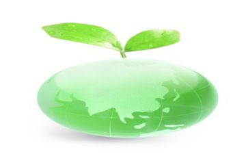 对环保心得体会最新6篇