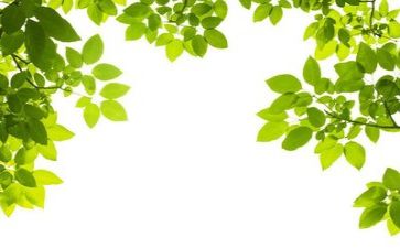 绿色环保活动心得体会500精选8篇