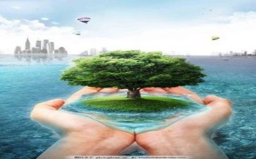 2023的年环保工作计划推荐6篇