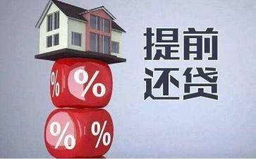 提前还货申请书通用7篇