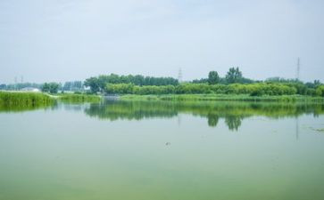 环境的调查报告范文5篇