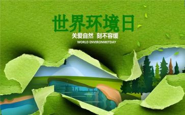 幼儿园环境日活动总结7篇