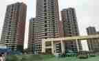 还迁工作报告7篇