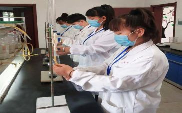 2024年化验工作总结范文6篇