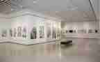 画展观展心得体会8篇