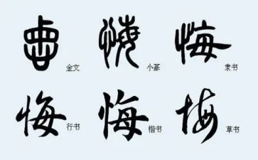 我不后悔作文优秀7篇