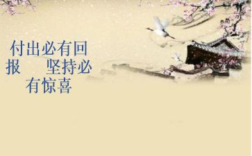 回报爱的作文5篇