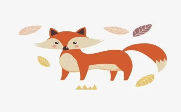 狐狸与猫读后感模板6篇